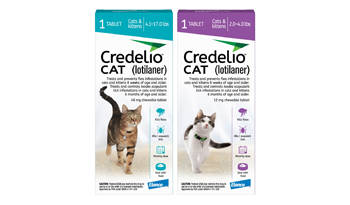 Credelio Cat