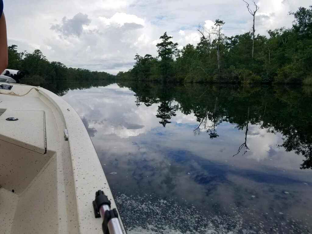 on the lake